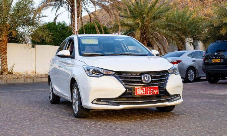ALSVIN CHANGAN 