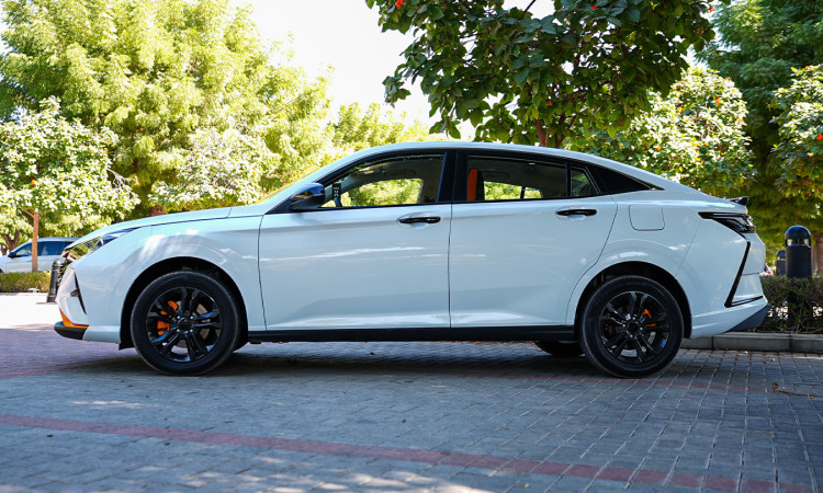 DONGFENG SHINE 