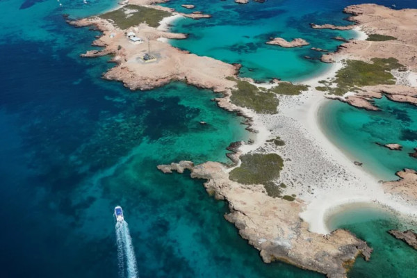 Daymaniyat Islands Sharing Tours