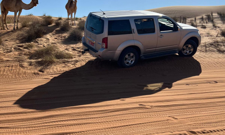 NISSAN PATHFINDER