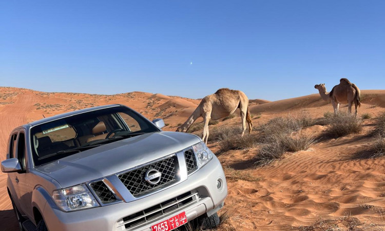 NISSAN PATHFINDER