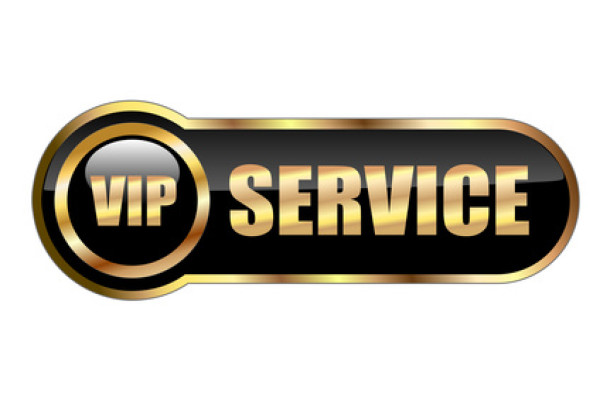 Travel in Style & Privacy - VIP Services
