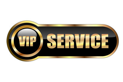 Travel in Style & Privacy - VIP Services